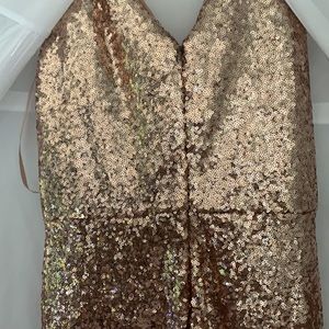 Size 16 Dawson sequin dress: Revelry. Rose gold